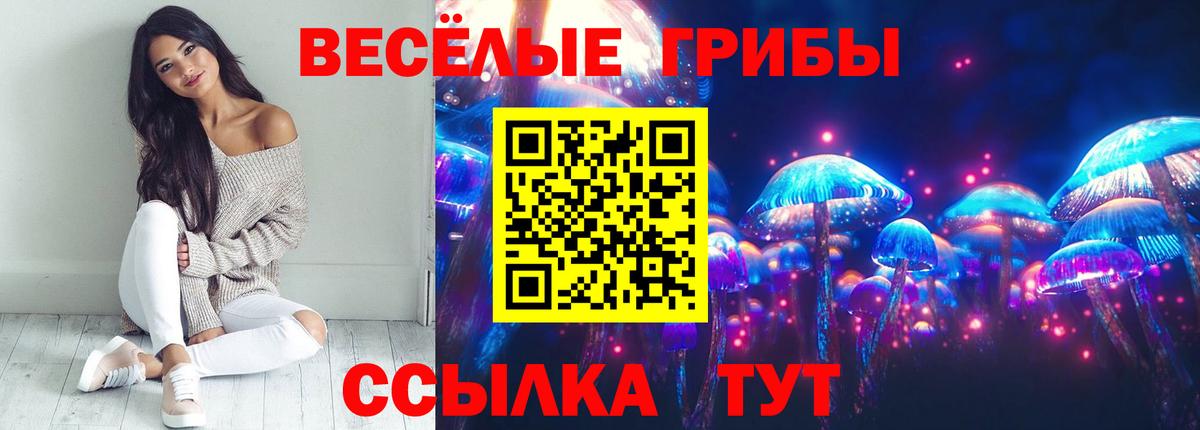 Верхняя Салда  Галлюциногенные грибы Psilocybe  Вход с VPN 